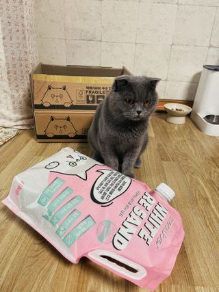 라기라기님이 올린 리뷰 사진 1