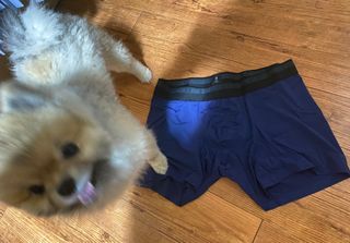 재문님이 올린 리뷰 사진 2