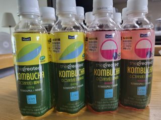 더그레잇티 콤부차 [매일유업] 더그레잇티 44kcal 콤부차 300ml *12개입 (오리지널 6개+베리리치 6개) — 5점을 준 리뷰어가 2023년 8월 올린 사용 사진