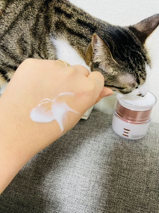 주희렐라님이 올린 리뷰 사진 4