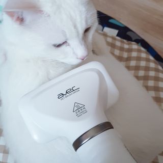 정혜님이 올린 리뷰 사진 1