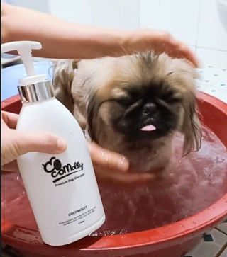 러블리혜교님이 올린 리뷰 사진 3