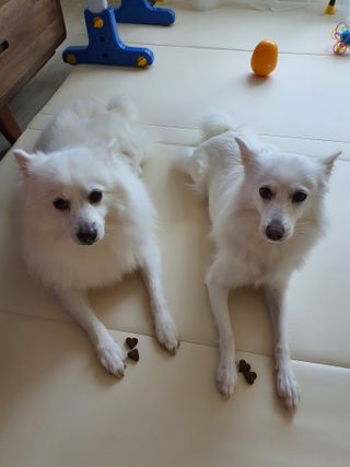 조원동새댁님이 올린 리뷰 사진 2