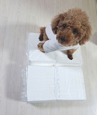 민쓰님이 올린 리뷰 사진 3
