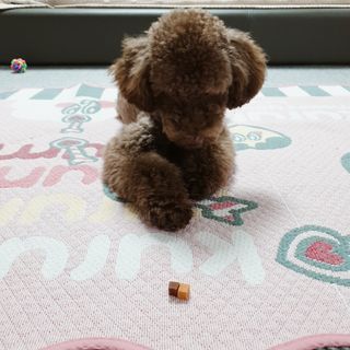 벼리님이 올린 리뷰 사진 4
