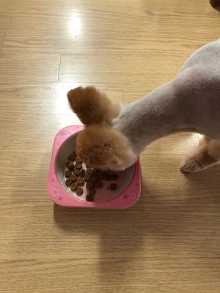다솜이마마님이 올린 리뷰 사진 3