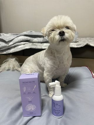 권쁜님이 올린 리뷰 사진 1