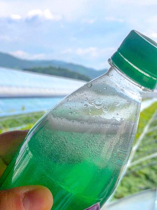 몽베스트 Montbest with Sparkling water Lemon OR Lime 20병(랜덤) — 5점을 준 리뷰어가 2023년 6월 올린 사용 사진