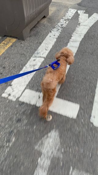 harumom님이 올린 리뷰 사진 4