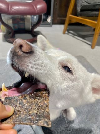 Jenny님이 올린 리뷰 사진 3