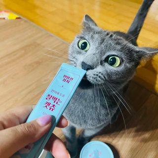 페페로니 잘 먹는 캣츄 - 원양선 참치 24개입 — 5점을 준 리뷰어가 2021년 8월 올린 사용 사진