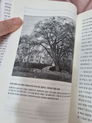 똘채융❤님이 올린 리뷰 사진 2