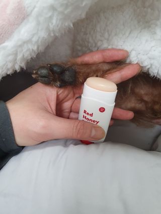 [레드허니밤]자유펫 고양이 강아지 발바닥 밤 14g — 5점을 준 리뷰어가 2021년 11월 올린 사용 사진