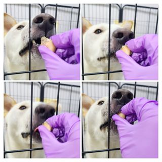 콩콩님이 올린 리뷰 사진 3