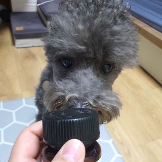 야호review님이 올린 리뷰 사진 4