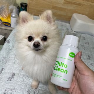 whol 키토클린 200ml - 항균항바이러스 강아지 눈 코 입 귀 세정탈취 고양이 턱드름제거 무향 워터리스 대용량 — 5점을 준 리뷰어가 2022년 10월 올린 사용 사진