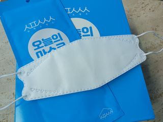 [심폐소생소] KF94 오늘의 마스크 대형 — 5점을 준 리뷰어가 2021년 9월 올린 사용 사진