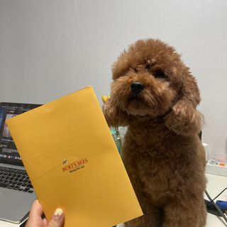 후추맘님이 올린 리뷰 사진 3