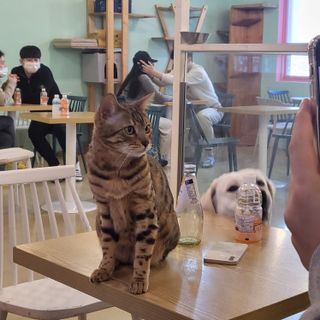 쏘오님이 올린 리뷰 사진 2