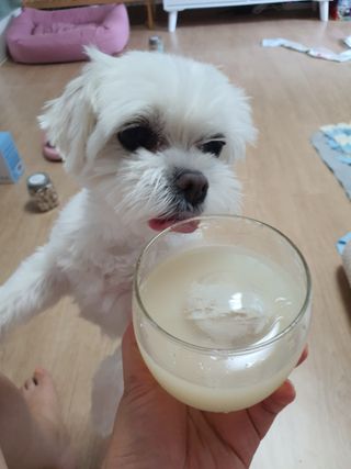 뽀오오옹님이 올린 리뷰 사진 3