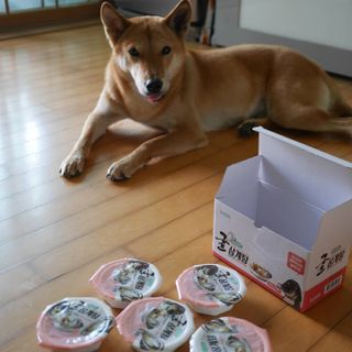 루비님이 올린 리뷰 사진 2
