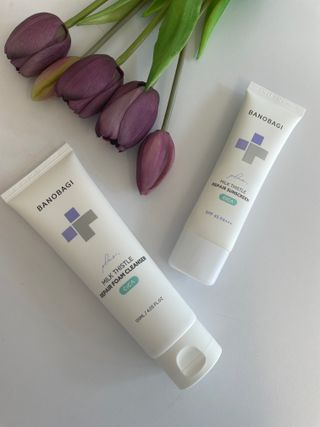 바노바기 코스메틱 바노바기 밀크씨슬 리페어 시카 폼 클렌저 플러스 120ml + 선스크린 플러스 50ml — 5점을 준 리뷰어가 2023년 7월 올린 사용 사진