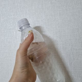 밍기님이 올린 리뷰 사진 4