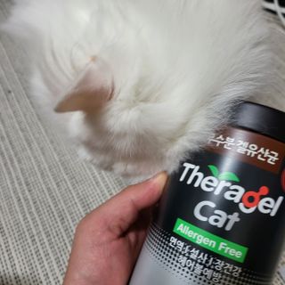 Woo7C님이 올린 리뷰 사진 4