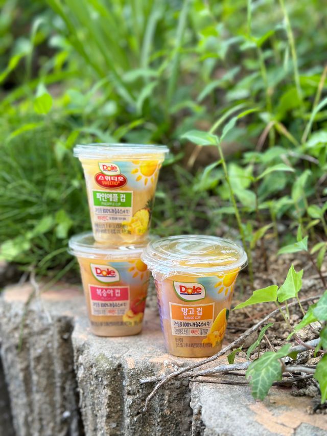 MF[Dole] 파인애플컵/망고컵/복숭아컵 198g 6입X1박스 (맛 1가지 랜덤 발송) 리뷰 사진