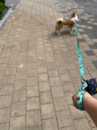 슬이님이 올린 리뷰 사진 3