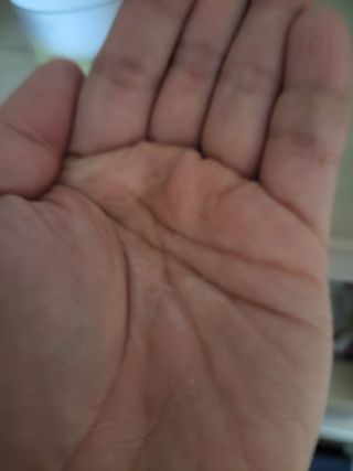 KimDonghwan님이 올린 리뷰 사진 1