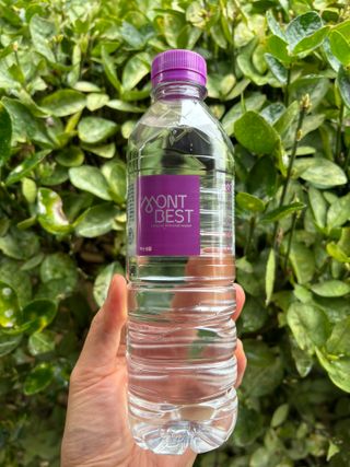 몽베스트 [MONTBEST]위드어스 500mL 20병 — 5점을 준 리뷰어가 2024년 2월 올린 사용 사진