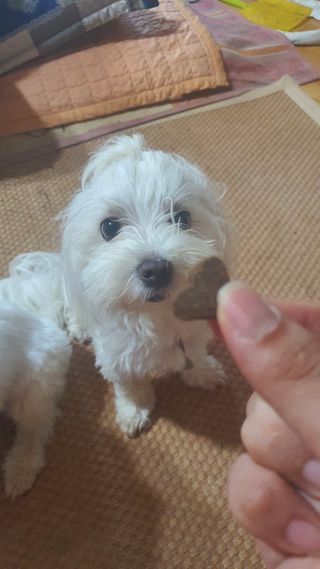 공팔리터님이 올린 리뷰 사진 2