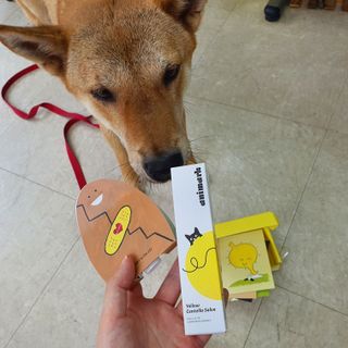 루비님이 올린 리뷰 사진 1