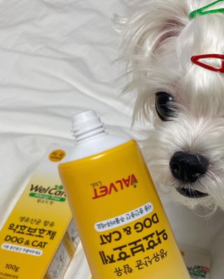메리님이 올린 리뷰 사진 1