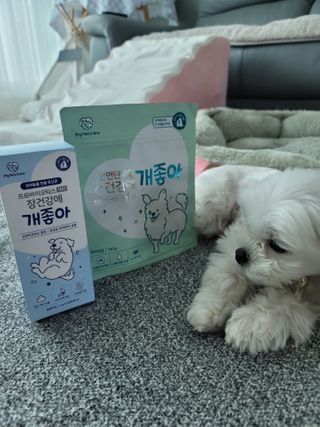 뽀블리님이 올린 리뷰 사진 1