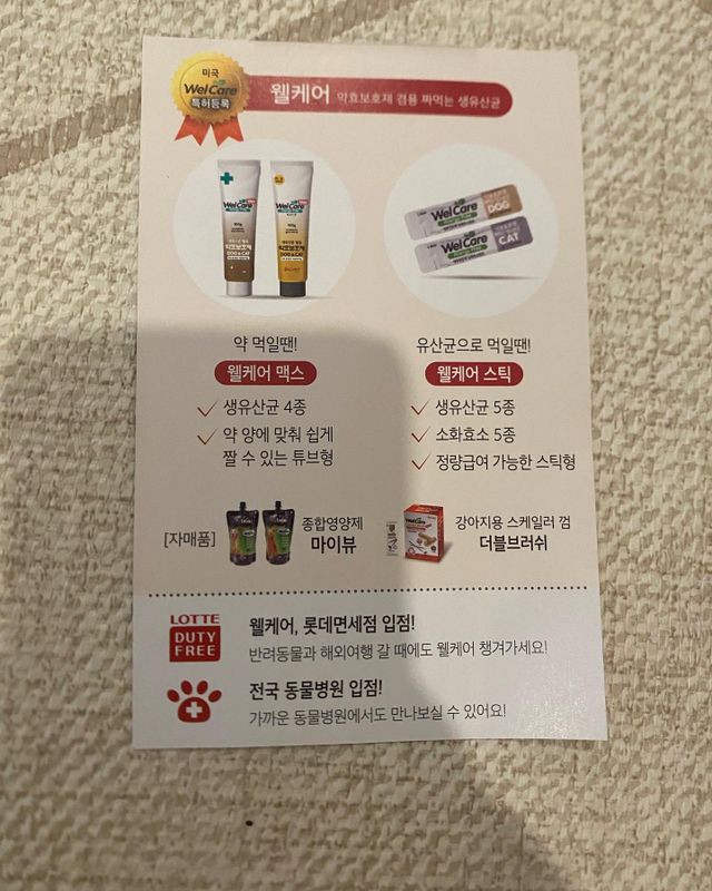 노령견/묘용 유산균, 웰케어시니어 30T 리뷰 사진