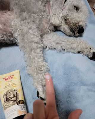 lemoniee님이 올린 리뷰 사진 1