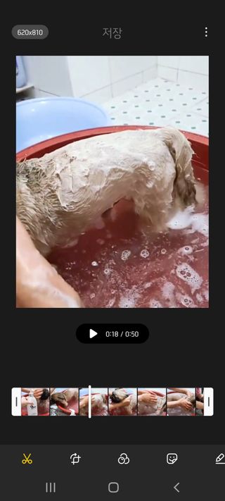 러블리혜교님이 올린 리뷰 사진 4