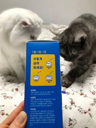 씨디랩 장 건강과 구강 건강을 한 번에 더블락토 강아지 고양이 유산균 — 4.5점을 준 리뷰어가 2021년 1월 올린 사용 사진