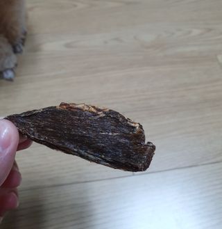 [졸리졸리] 말고기 육포 간식 (HORSE MEAT JERKY) — 5점을 준 리뷰어가 2023년 1월 올린 사용 사진