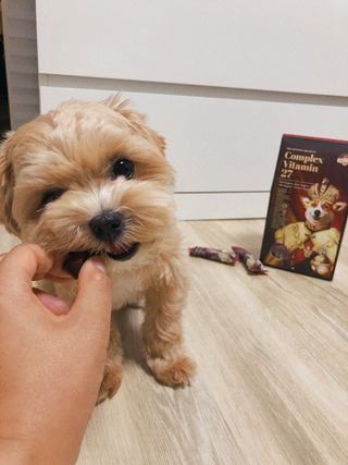 말라님이 올린 리뷰 사진 2