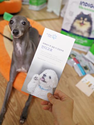 차차님이 올린 리뷰 사진 2