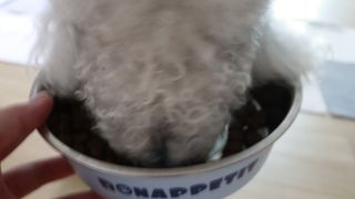 랄라맘마님이 올린 리뷰 사진 2