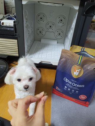 단츄♡님이 올린 리뷰 사진 1