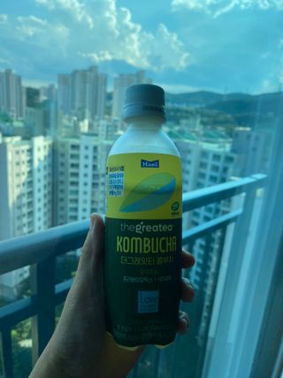 더그레잇티 콤부차 [매일유업] 더그레잇티 44kcal 콤부차 300ml *12개입 (오리지널 6개+베리리치 6개) — 5점을 준 리뷰어가 2023년 8월 올린 사용 사진