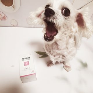 여늬님이 올린 리뷰 사진 3