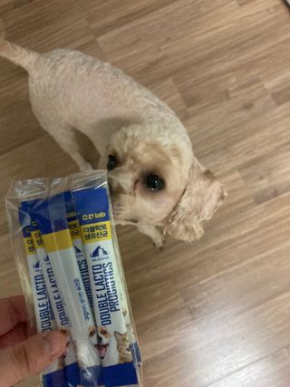 진진이님이 올린 리뷰 사진 1