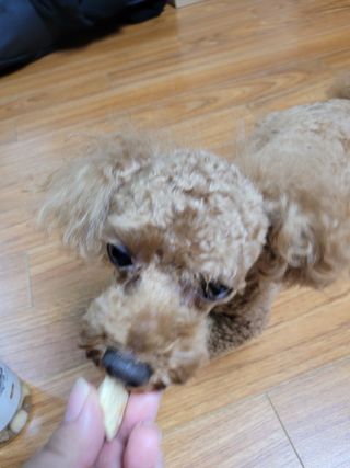란다김님이 올린 리뷰 사진 4