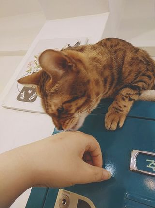 아그네스님이 올린 리뷰 사진 4